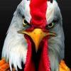 Foto Perfil luizbh77