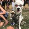 Foto Perfil zeusversatil