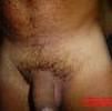 Foto Perfil maridaoesposinha