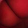 Foto Perfil lu233