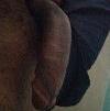 Foto Perfil dimds2432