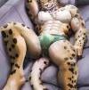 Foto Perfil leopard