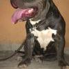 Foto Perfil wilkeny