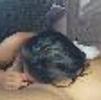 foto perfil usuario fardadojr