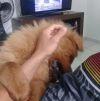 foto perfil usuario binho2810