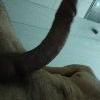 Foto Perfil dt24cmcuiaba