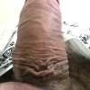 foto perfil usuario coroa55bh