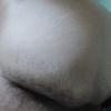 Foto Perfil igorssa