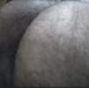 foto perfil usuario digo-santo-andre