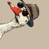 Foto Perfil krueger-