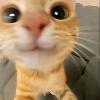 Foto Perfil lumiel-