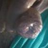 foto perfil usuario solteirofloripa72