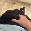 Foto Perfil brunooliveira22