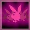 Foto Perfil flor_vyrtual