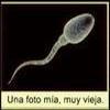 Foto Perfil xexo002