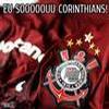 Foto Perfil gato zs 