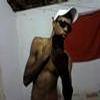 Foto Perfil holandes