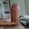 Foto Perfil fadel2013
