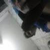 Foto Perfil santana da s