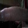 Foto Perfil pauduro24