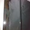 Foto Perfil renato_sp