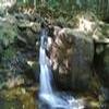 Foto Perfil loiro-londrina
