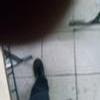 Foto Perfil hellena
