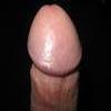 Foto Perfil blindado