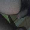 Foto Perfil sooretamense