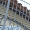 Foto Perfil mestre001
