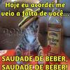 Foto Perfil roberto g