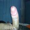 Foto Perfil lobo6000