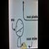 Foto Perfil jefim