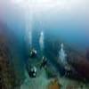 Foto Perfil diver