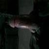 Foto Perfil nave