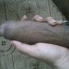 Foto Perfil tiago22