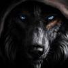 Foto Perfil darkwolf